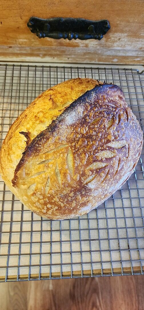 Image from Liana's review